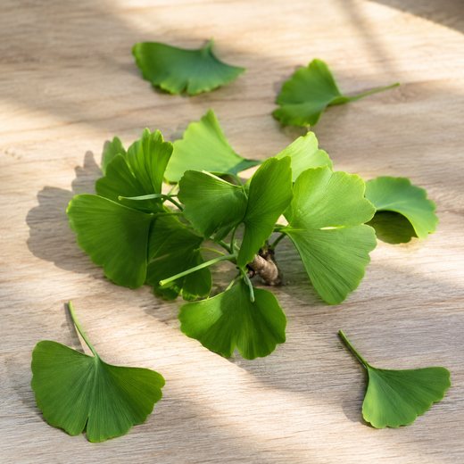 Ginkgo biloba leaves on a wooden surface